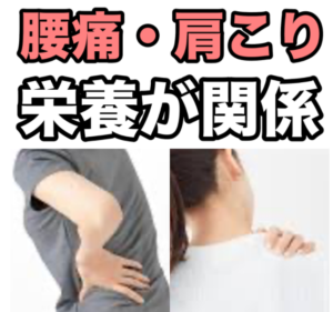 腰痛／肩こり　栄養が関係